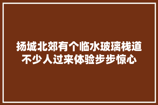 扬城北郊有个临水玻璃栈道不少人过来体验步步惊心