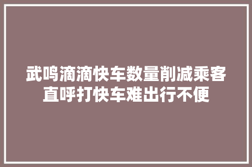 武鸣滴滴快车数量削减乘客直呼打快车难出行不便
