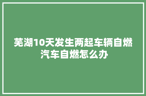 芜湖10天发生两起车辆自燃 汽车自燃怎么办