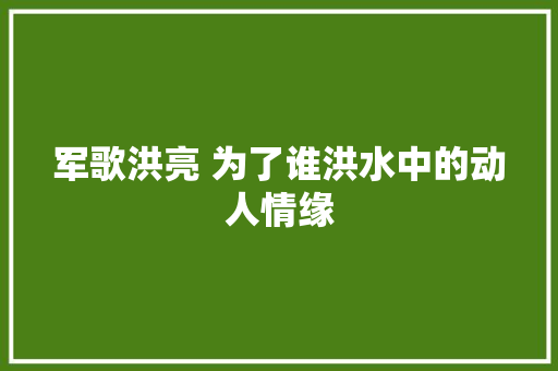 军歌洪亮 为了谁洪水中的动人情缘