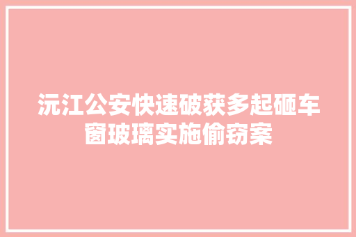 沅江公安快速破获多起砸车窗玻璃实施偷窃案