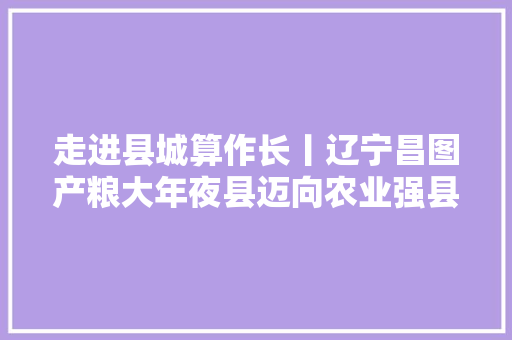 走进县城算作长丨辽宁昌图产粮大年夜县迈向农业强县