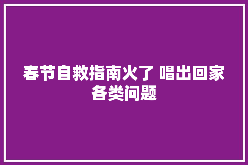 春节自救指南火了 唱出回家各类问题