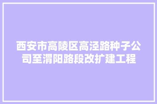 西安市高陵区高泾路种子公司至渭阳路段改扩建工程