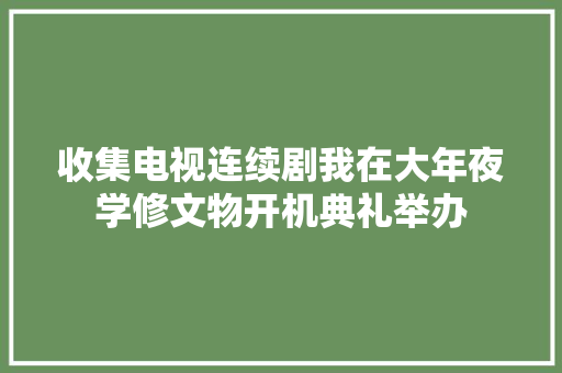 收集电视连续剧我在大年夜学修文物开机典礼举办