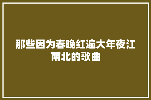 那些因为春晚红遍大年夜江南北的歌曲 休闲娱乐