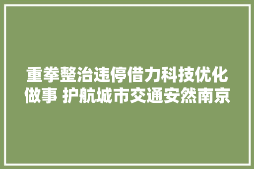 重拳整治违停借力科技优化做事 护航城市交通安然南京在行动