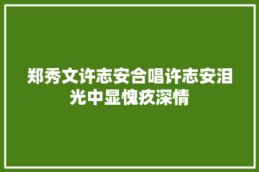 郑秀文许志安合唱许志安泪光中显愧疚深情