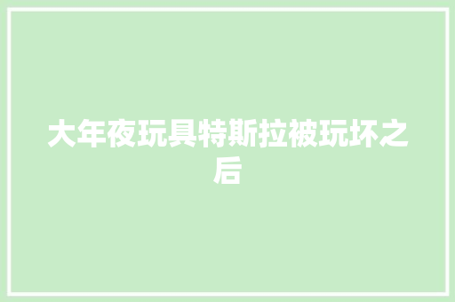 大年夜玩具特斯拉被玩坏之后