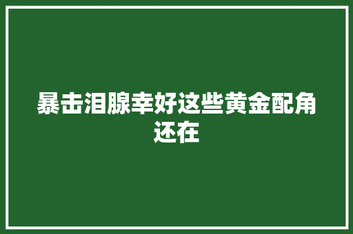 暴击泪腺幸好这些黄金配角还在