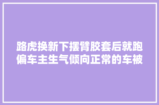 路虎换新下摆臂胶套后就跑偏车主生气倾向正常的车被修坏