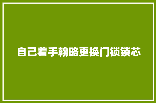 自己着手翰略更换门锁锁芯