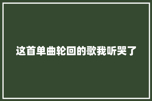 这首单曲轮回的歌我听哭了