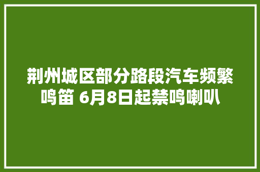 荆州城区部分路段汽车频繁鸣笛 6月8日起禁鸣喇叭
