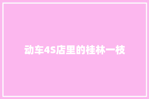 动车4S店里的桂林一枝