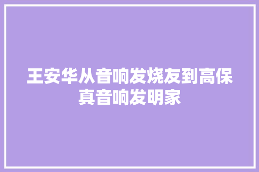 王安华从音响发烧友到高保真音响发明家 汽车知识