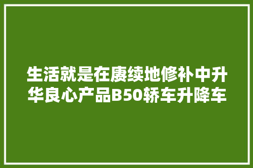 生活就是在赓续地修补中升华良心产品B50轿车升降车窗的修理