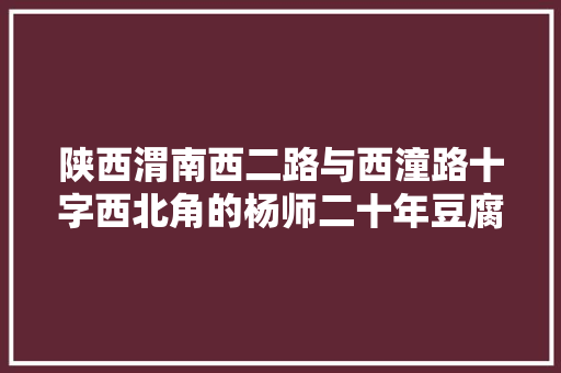 陕西渭南西二路与西潼路十字西北角的杨师二十年豆腐泡店图纪