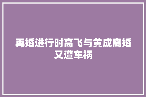 再婚进行时高飞与黄成离婚又遭车祸