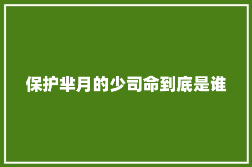保护芈月的少司命到底是谁