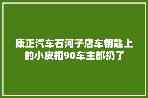 康正汽车石河子店车钥匙上的小皮扣90车主都扔了