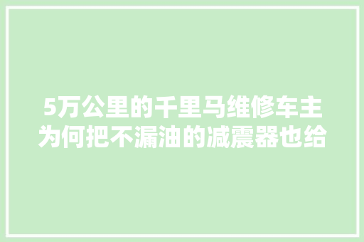 5万公里的千里马维修车主为何把不漏油的减震器也给我换了