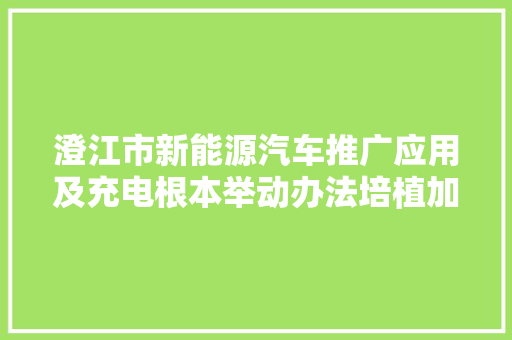 澄江市新能源汽车推广应用及充电根本举动办法培植加速