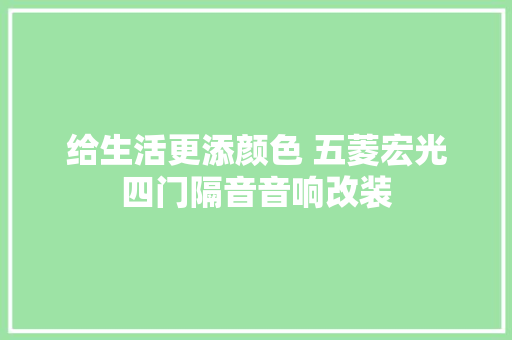 给生活更添颜色 五菱宏光四门隔音音响改装