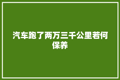 汽车跑了两万三千公里若何保养