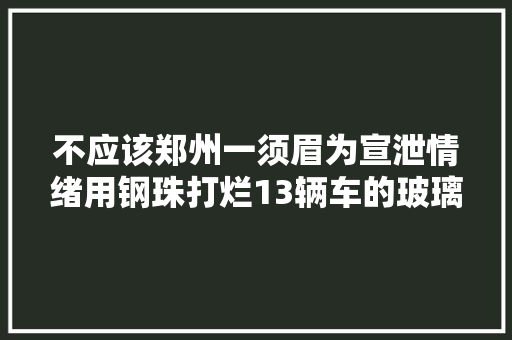 不应该郑州一须眉为宣泄情绪用钢珠打烂13辆车的玻璃