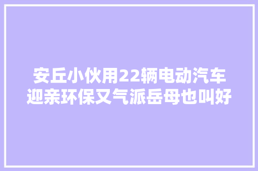 安丘小伙用22辆电动汽车迎亲环保又气派岳母也叫好