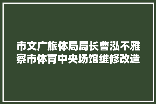市文广旅体局局长曹泓不雅察市体育中央场馆维修改造项目进展