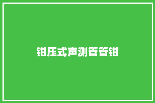 钳压式声测管管钳