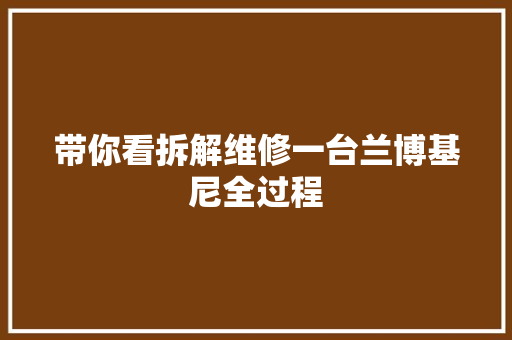 带你看拆解维修一台兰博基尼全过程