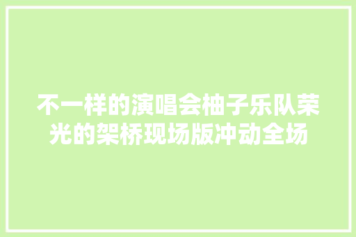 不一样的演唱会柚子乐队荣光的架桥现场版冲动全场