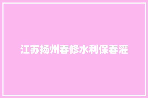 江苏扬州春修水利保春灌