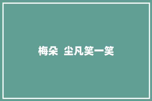 梅朵  尘凡笑一笑
