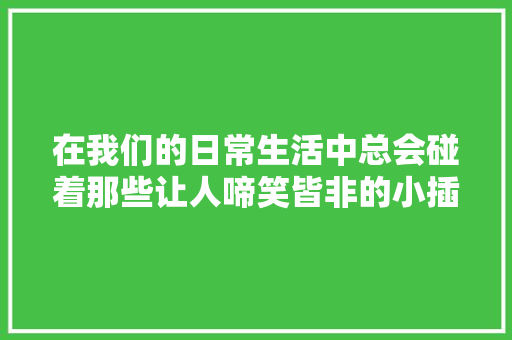 在我们的日常生活中总会碰着那些让人啼笑皆非的小插曲