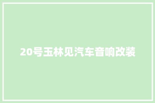 20号玉林见汽车音响改装