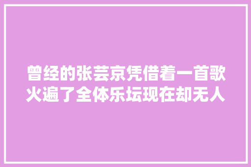 曾经的张芸京凭借着一首歌火遍了全体乐坛现在却无人知晓