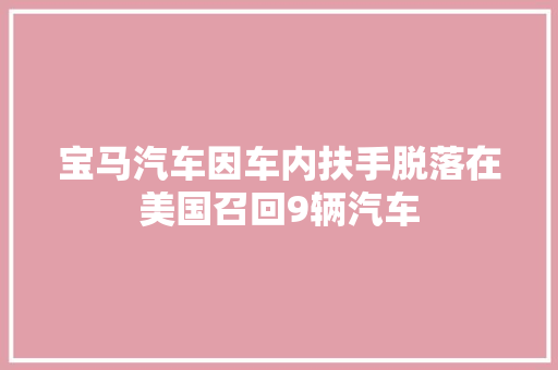 宝马汽车因车内扶手脱落在美国召回9辆汽车