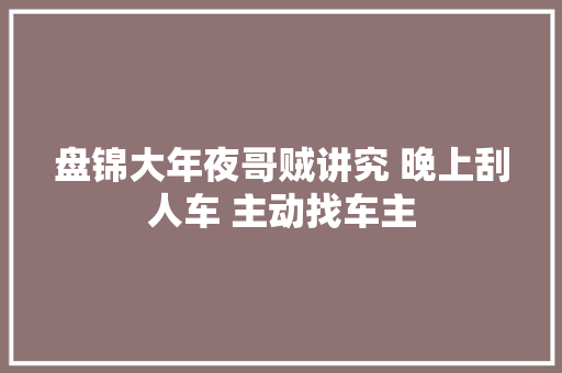 盘锦大年夜哥贼讲究 晚上刮人车 主动找车主