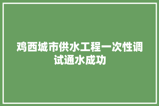 鸡西城市供水工程一次性调试通水成功