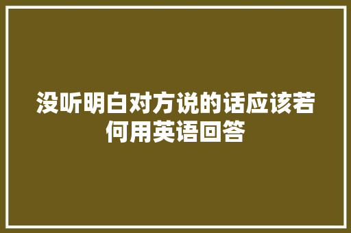 没听明白对方说的话应该若何用英语回答