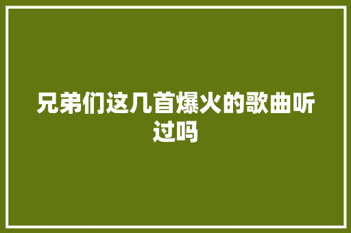 兄弟们这几首爆火的歌曲听过吗