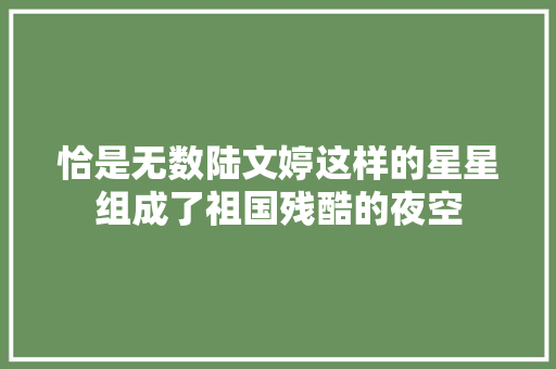 恰是无数陆文婷这样的星星组成了祖国残酷的夜空