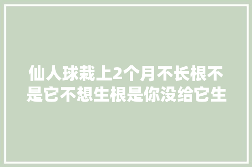 仙人球栽上2个月不长根不是它不想生根是你没给它生根的前提