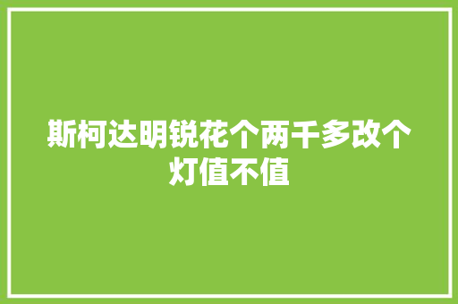 斯柯达明锐花个两千多改个灯值不值 汽车知识