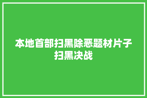本地首部扫黑除恶题材片子扫黑决战