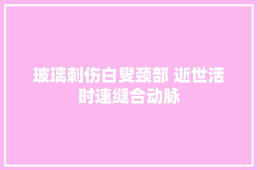 玻璃刺伤白叟颈部 逝世活时速缝合动脉